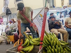 Es que la apuesta del gobierno de Gustavo Petro busca redistribuir la tierra, formalizar predios rurales y reducir la desigualdad histórica que ha marcado a millones de campesinos en el país, como en el caso del Cauca, donde las comunidades agrarias ahora están volcadas en las calles de Popayán para respaldar esa iniciativa, de paso, apoyar la candidatura de Iván Cepeda a la presidencia.
