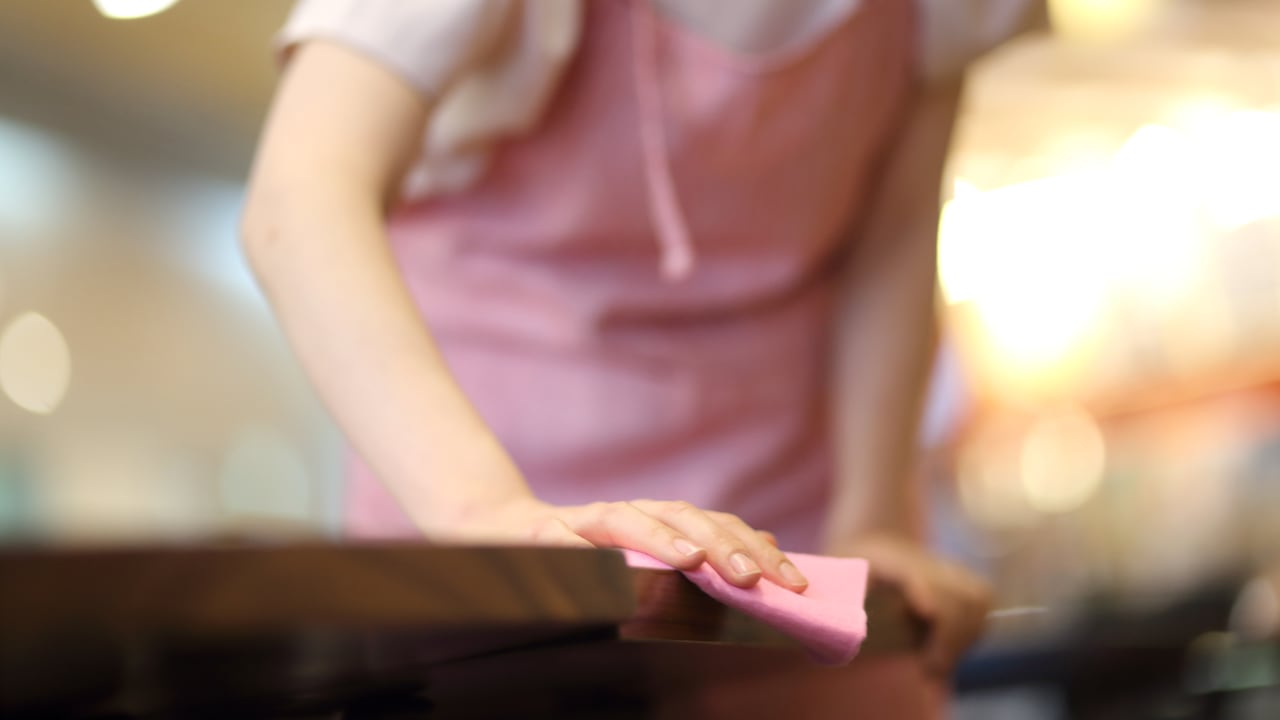 Empleada doméstica - empleada del servicio