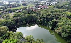 Este domingo se celebra el día de los humedales y el País de Cali Realiza un informe especial con los humedales de la ciudad.