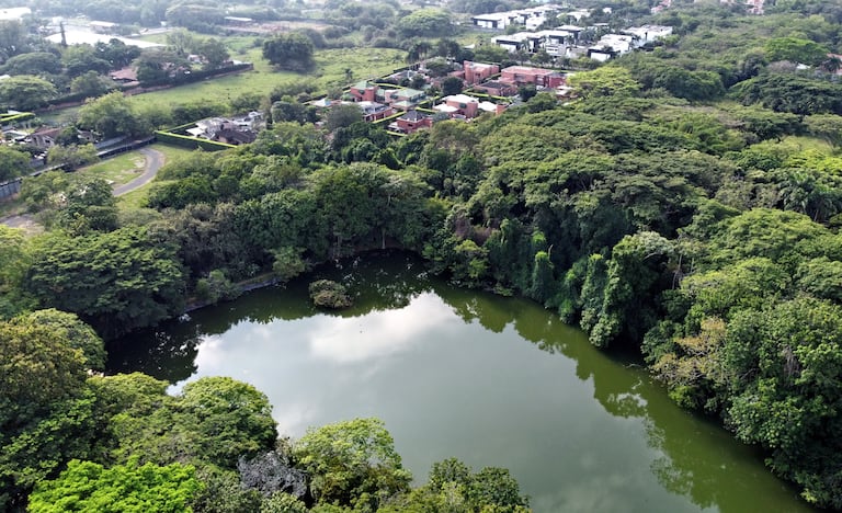 Este domingo se celebra el día de los humedales y el País de Cali Realiza un informe especial con los humedales de la ciudad.