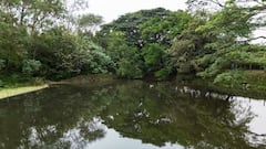En el humedal Platanares, ubicado en la vereda Platanares, a orillas del río Cauca, en el municipio de Yumbo, la CVC realizó la celebración oficial del Día Mundial de los Humedales.