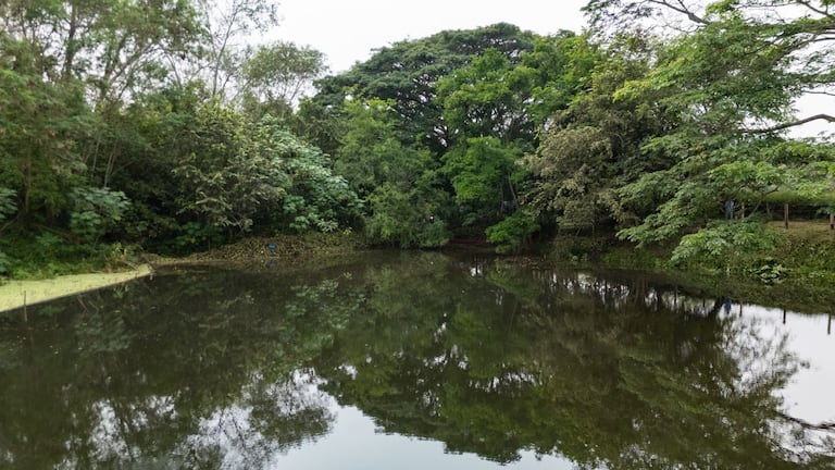 En el humedal Platanares, ubicado en la vereda Platanares, a orillas del río Cauca, en el municipio de Yumbo, la CVC realizó la celebración oficial del Día Mundial de los Humedales.