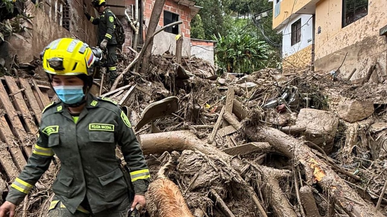 "Atendemos la emergencia ocasionada por la avenida torrencial en la vereda Los Olivares. Lamentamos profundamente el fallecimiento de una persona producto de esta tragedia", indicaron los funcionarios de la alcaldía de Itagüí.
Estaremos en el territorio con todo nuestro equipo de la Alcaldía de Itagüí y los organismos de socorro acompañando a la comunidad hasta solucionar tod