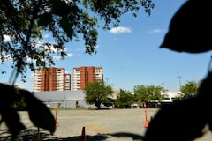 El Dagma aseguró que, luego de una visita técnica, no evidenció procesos de tala en desarrollo en el lugar.