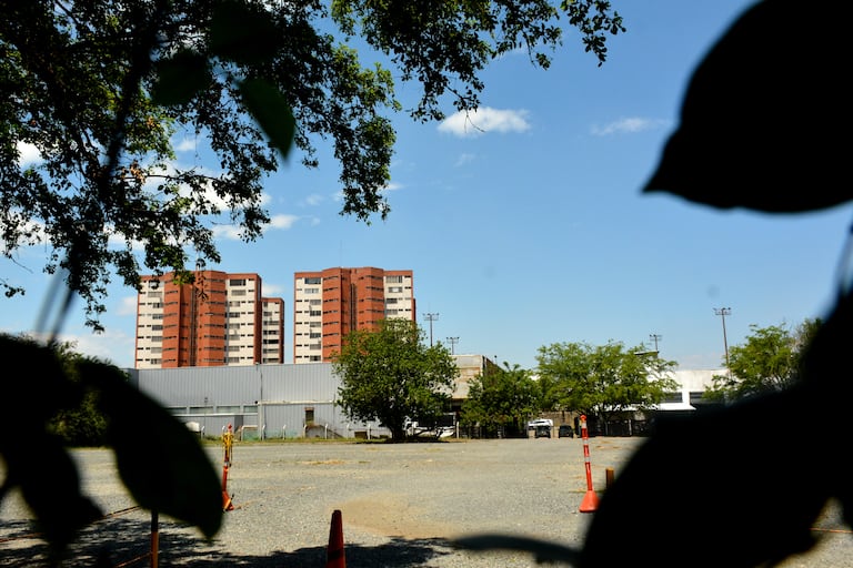 El Dagma aseguró que, luego de una visita técnica, no evidenció procesos de tala en desarrollo en el lugar.