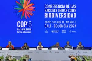 Cali: Cop 16, zona azul, último día de plenarias, salida de delegados. Foto José L Guzmán. El País.