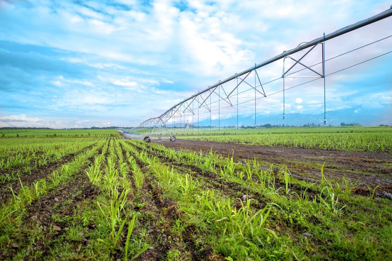 Los cultivadores de caña cuentan con sistema de riego de precisión para evitar el desperdicio del agua. Foto: suministrada por Asocaña / El País