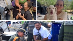 Animales rescatados