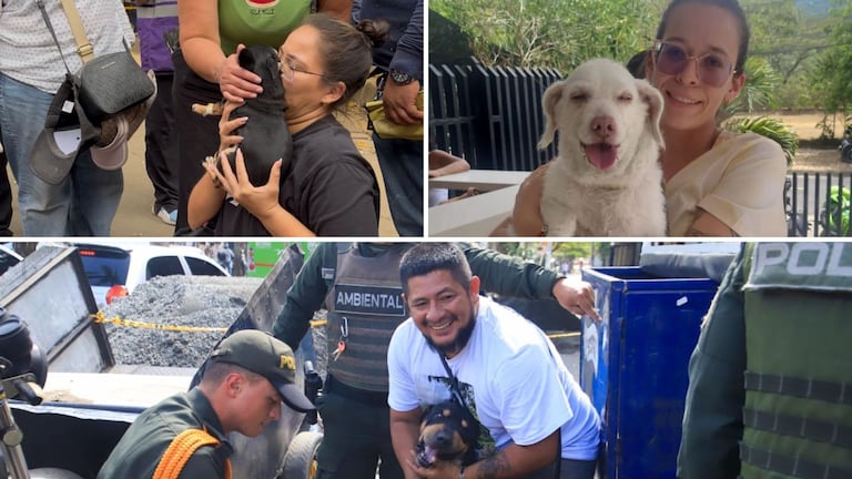 Animales rescatados