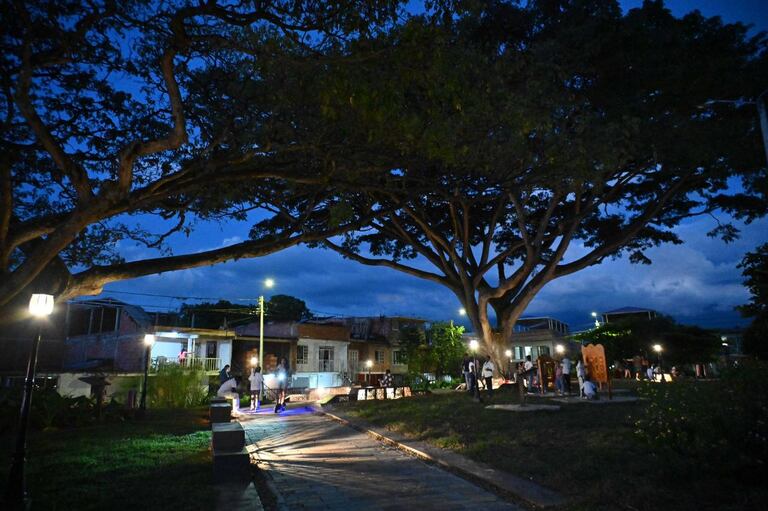 El Cerrito celebra el árbol número 8 millones con el nuevo bosque urbano El Samán.