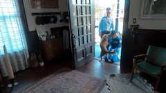 En la llegada a su casa, su perrita Sadie se abalanzó sobre ella cuando la vio.