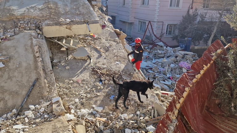 Se han reportado 160 personas fallecidas y casi 1000 heridas tras los terremotos registrados en las últimas horas en Venezuela.