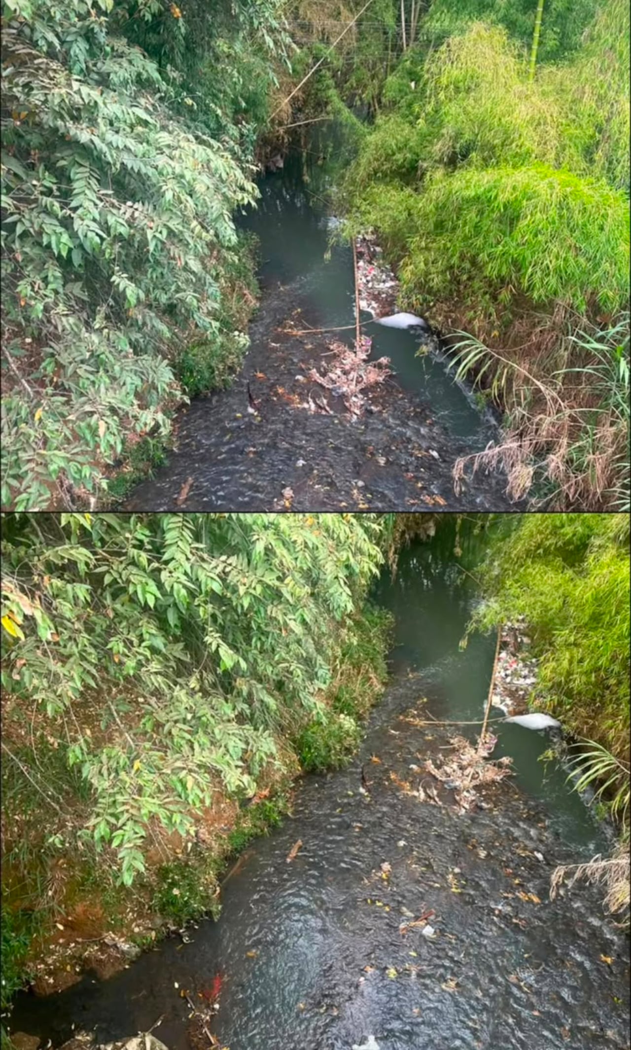 La Junta de Acción Comunal de El Ingenio denunció la presencia de basuras, posibles vertimientos contaminantes y el deterioro ambiental que afecta el río Meléndez y su ronda hídrica.