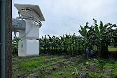 Proyecto del Ciat monitorea en tiempo real la humedad del suelo, mide los nutrientes y las propiedades de las plantas.