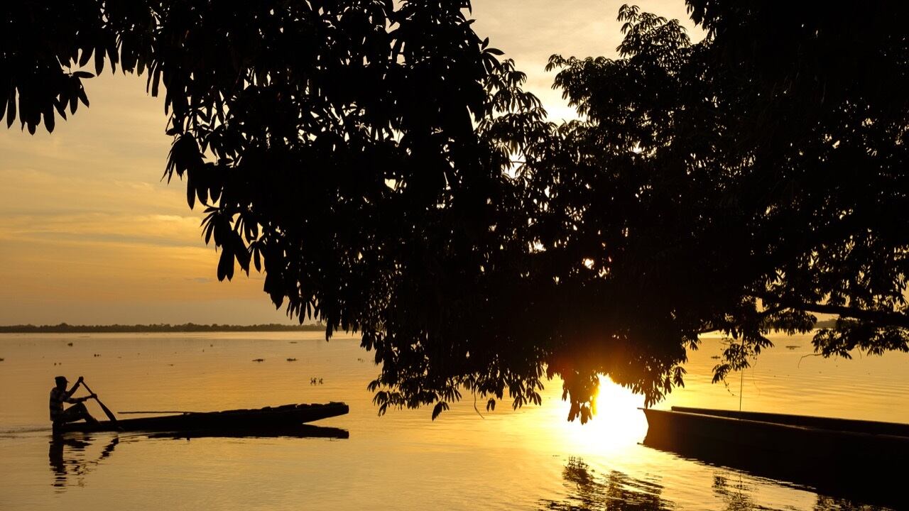 Peces en el río Magdalena