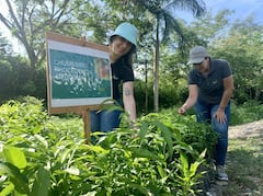 Acumen y aliados invierten USD $400.000 en Ecohome para recuperar el bosque seco tropical
