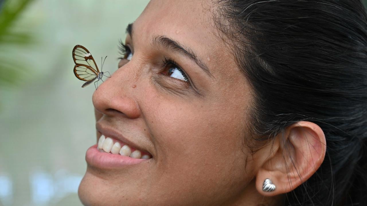 Más de 300 negocios verdes estarán a disposición de todos los caleños durante la Semana de la Biodiversidad.