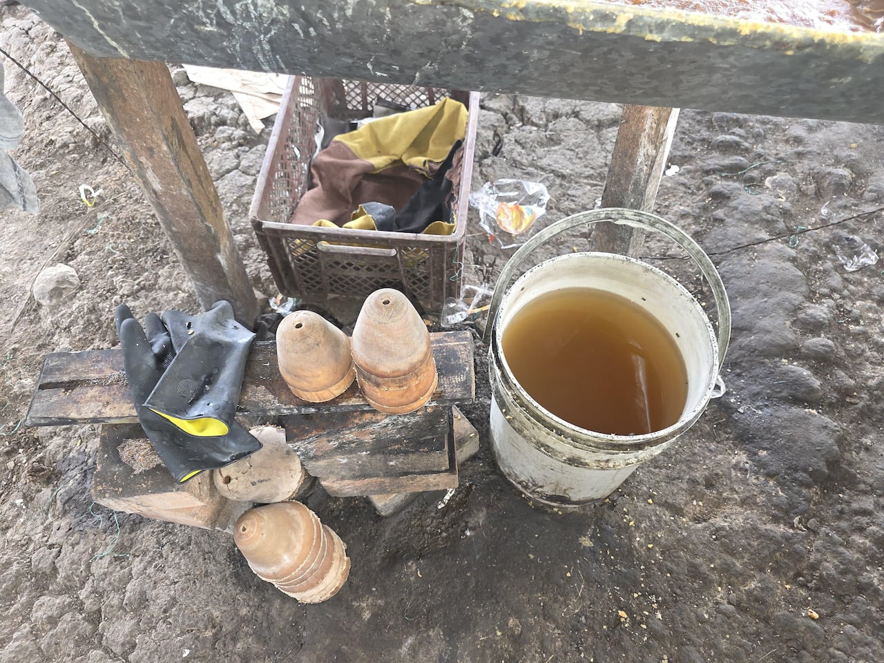 En seis diligencias de allanamiento adelantadas en Sandoná, Nariño, la Policía Nacional capturó a 37 personas señaladas de integrar redes dedicadas a la producción ilegal de panela.