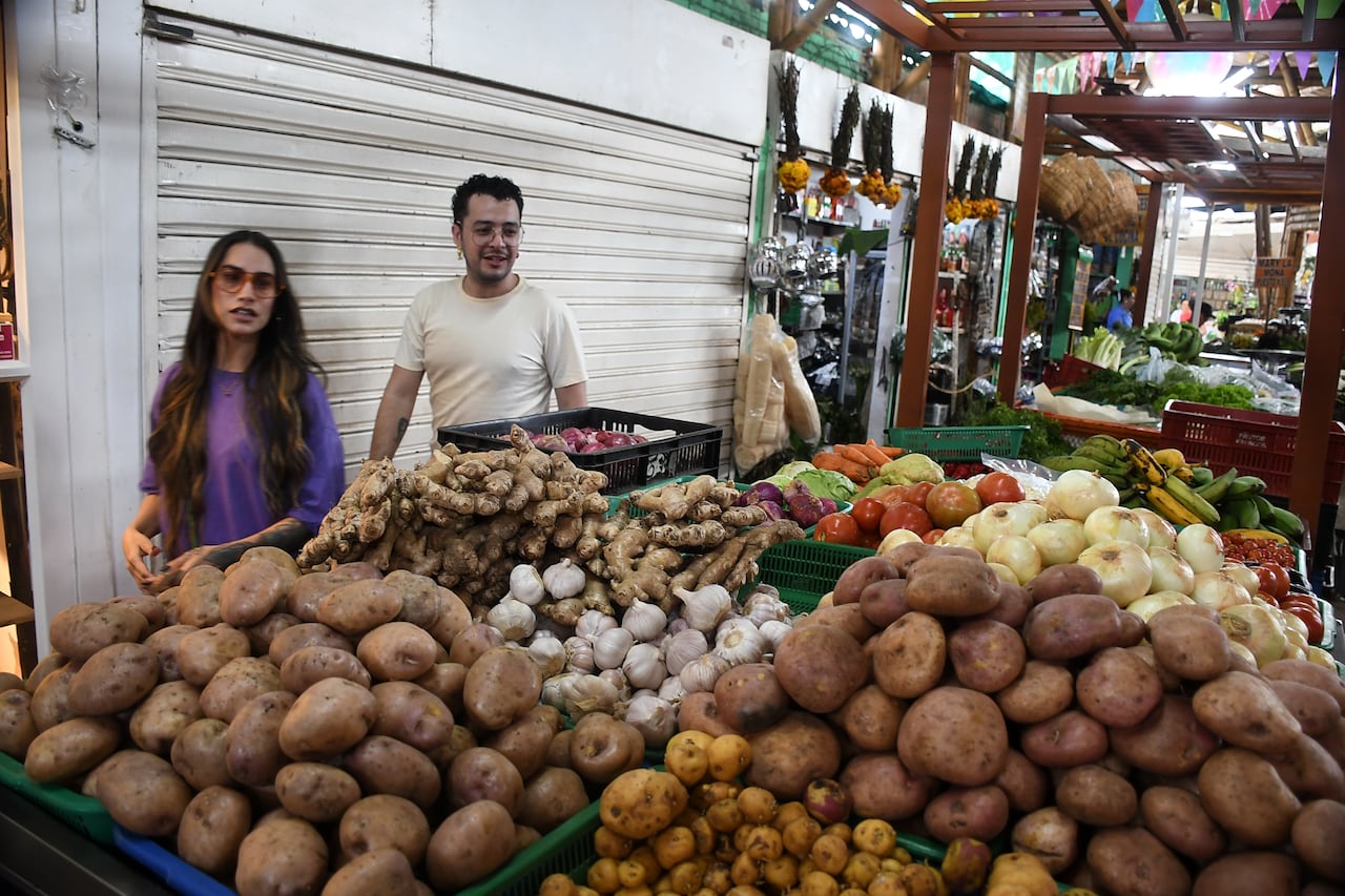 Proyecto renovación galeria Alameda