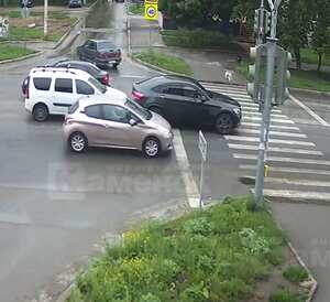 Como si nada hubiera pasado, el peludo peatón siguió su camino