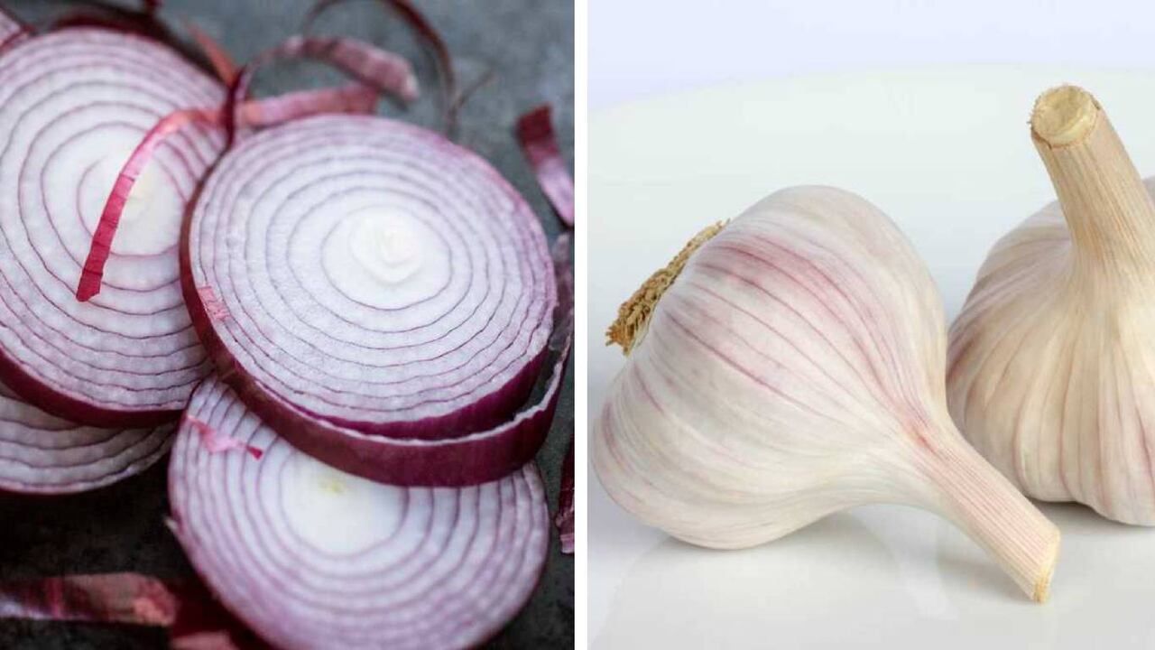 La sopa de cebolla y ajo es rica en vitaminas, minerales y antioxidantes. Foto: Getty images montaje SEMANA.