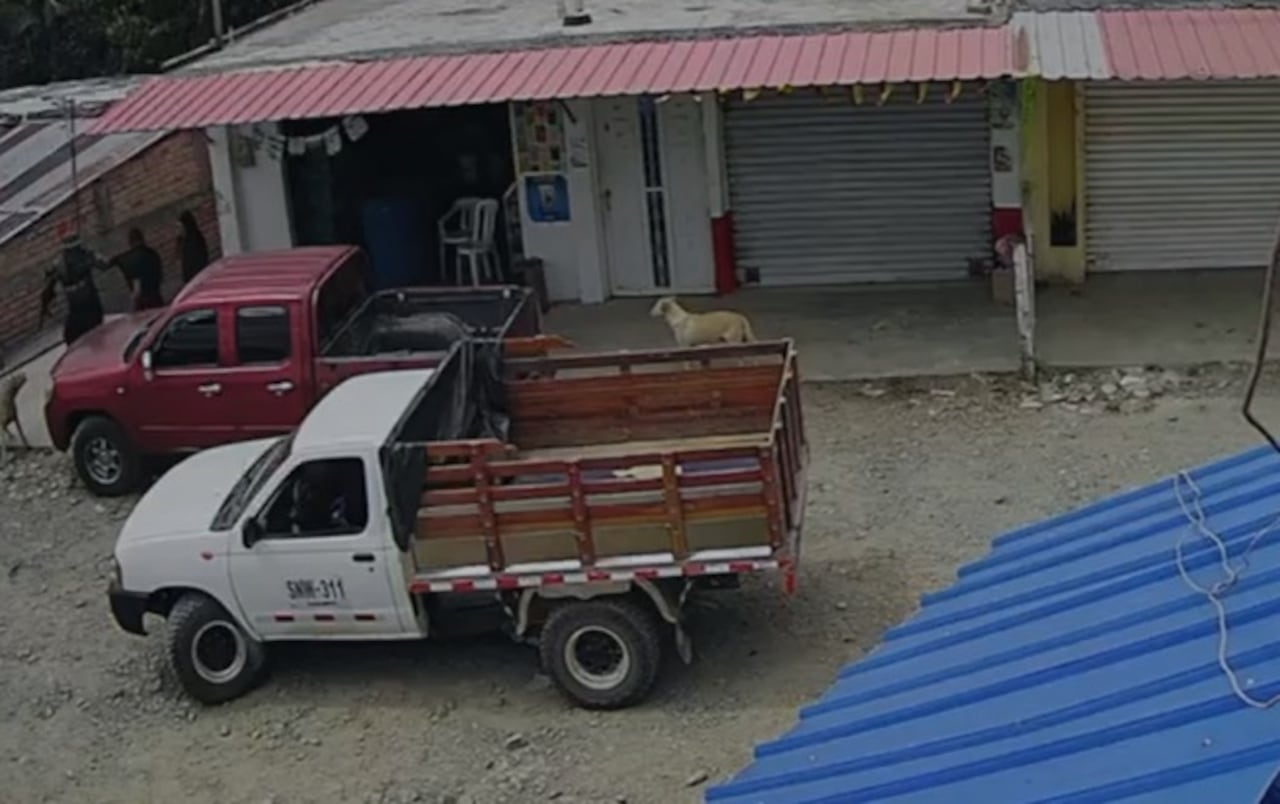 Herney Antonio Acosta Hoyos fue llevado por hombres armados desde una ferretería de la vereda Los Tendidos, zona rural de Popayán.