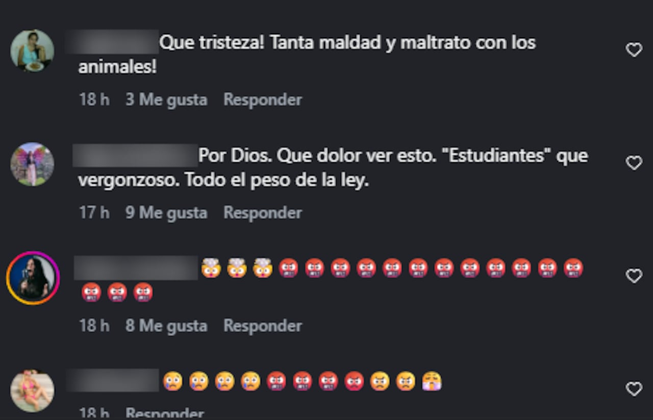 Reacciones de algunos usuarios frente al hecho.