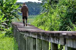 En Leticia confluyen diversas comunidades indígenas como la Bora, Kocama, Uitoto, Yucuna, Andoke, Ticuna y Yagua,
