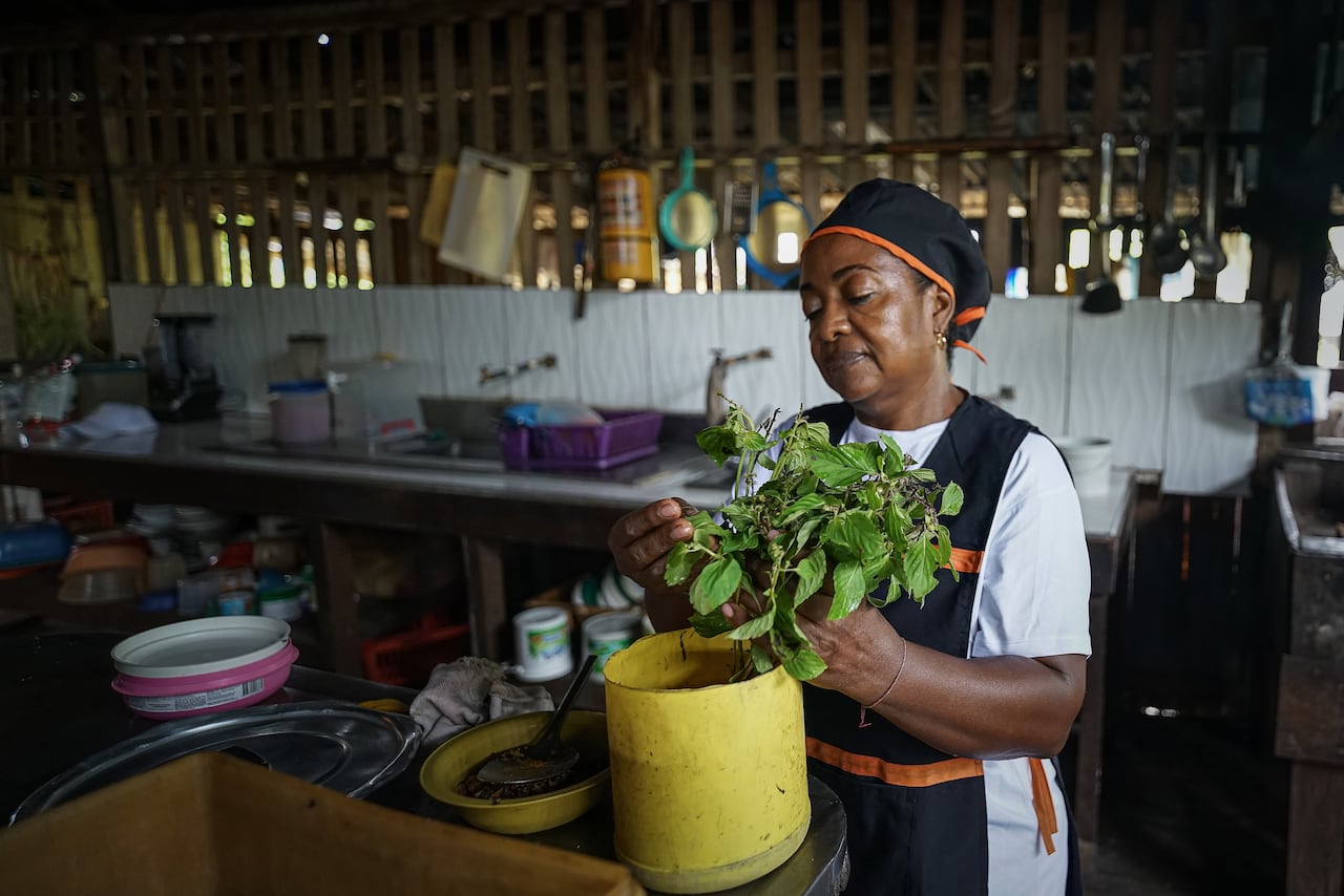 Tumaco se ha convertido en una vitrina para visibilizar el turismo comunitario con actividades económicas viable en el Municipio, con sus paisajes costeros y su tradición culinaria, resultado de sus raíces afrocolombianas e indígenas que hoy muestran al mundo.