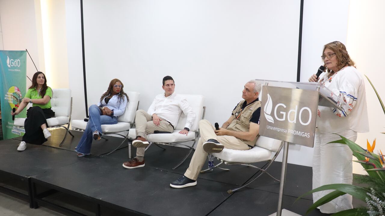 FORO GASES DE OCCIDENTE EN EL MARCO DE LA COP16.