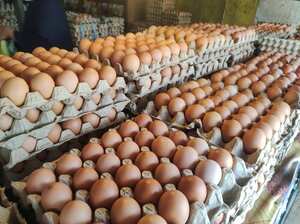 Cubeta de huevos