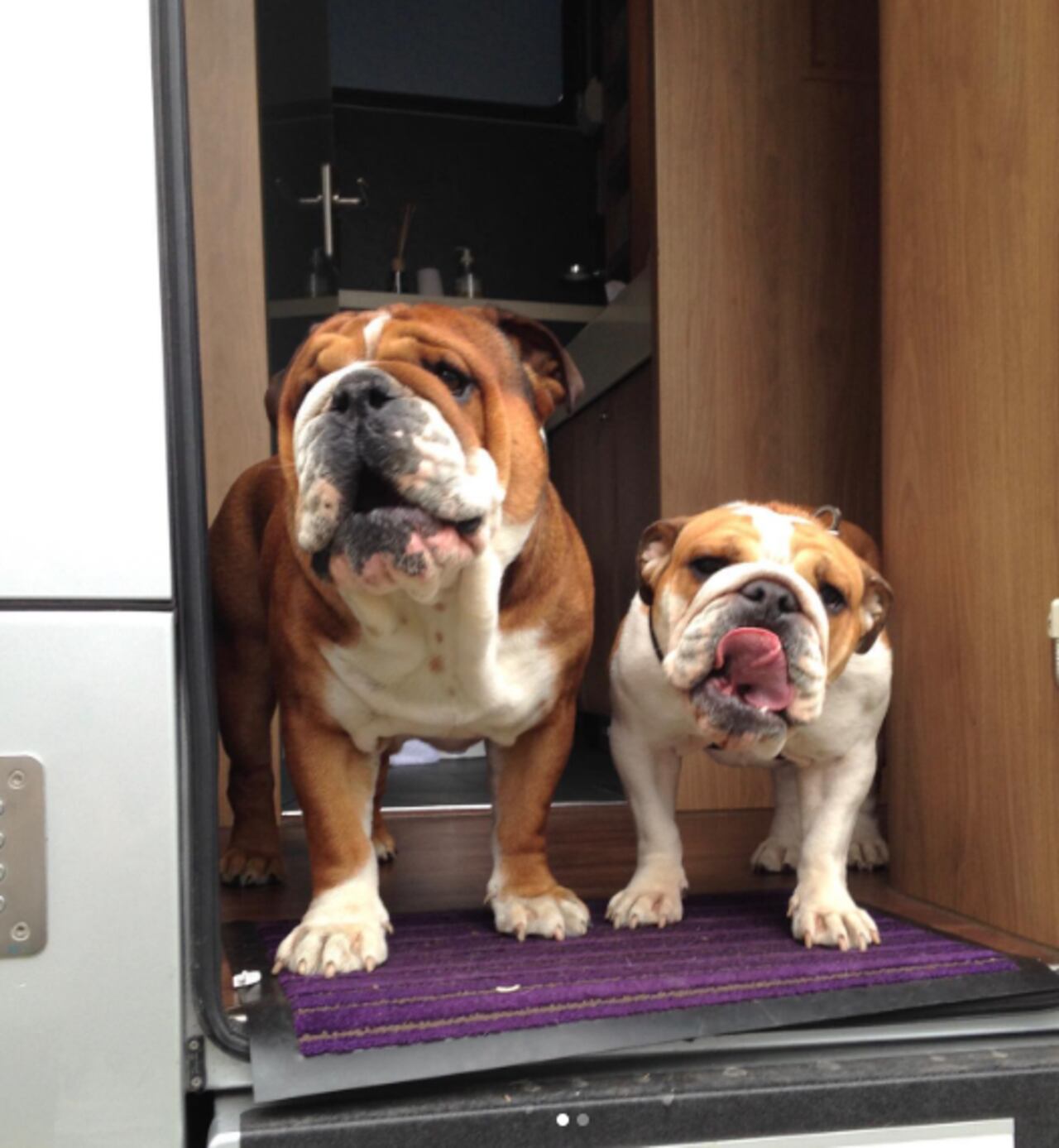 Lewis Hamilton el país