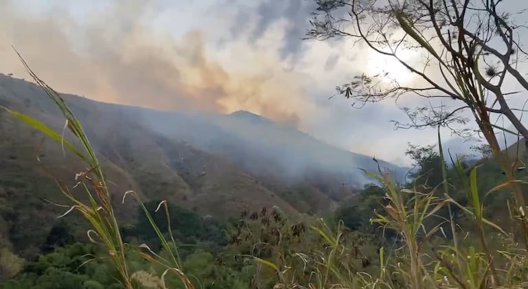 Se presenta incendio forestal en Yumbo este domingo 2 de febrero de 2025
