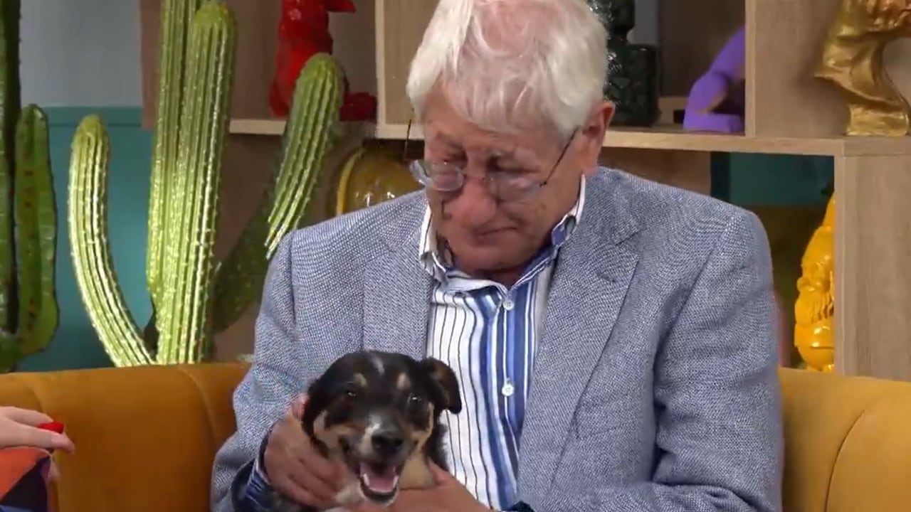 El adulto mayor fue a un programa televisivo para buscarle un nuevo hogar a su mascota.