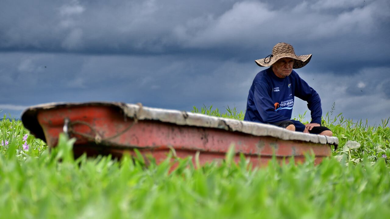 Alerta en Yotoco: Muerte masiva de peces en la Laguna de Sonso Un desolador panorama ha impactado a los habitantes de Yotoco, donde recientemente se ha reportado la muerte de miles de peces en la Laguna de Sonso.