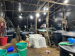 Desmantelan infraestructura clave del narcotráfico en Cumbal, Nariño