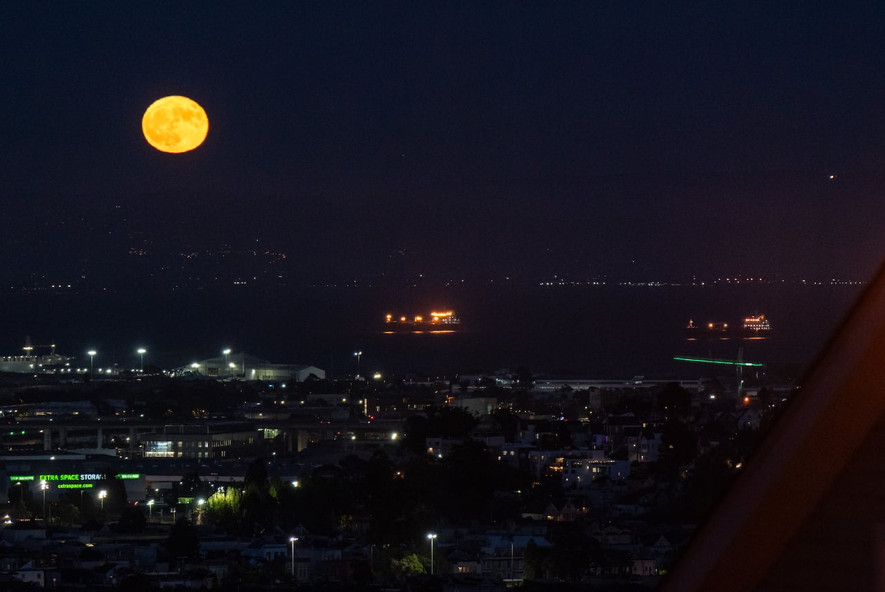 La superluna azul "Sturgeon" se eleva el 19 de agosto de 2024 sobre la Bahía de San Francisco vista desde San Francisco, California. Es la primera superluna del año.