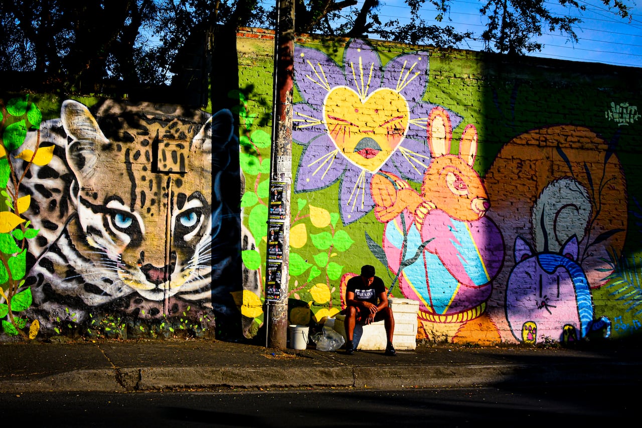 Estos son algunos de los murales que embellecen a Cali capital del valle del Cauca. Ubicación San Antonio carrera 4 con calle 4