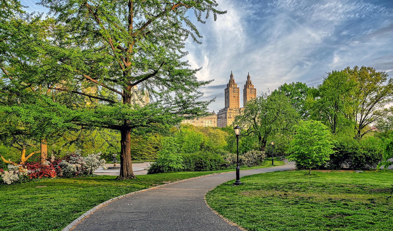 Déjese sorprender, en Nueva York, con planes no tan costosos.