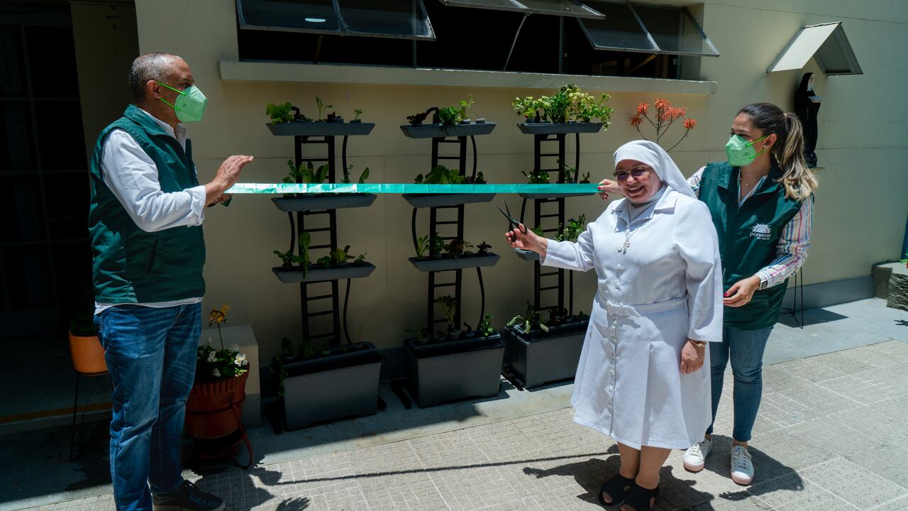 Porvenir recuperó 12,5 hectáreas en ecosistemas estratégicos para Colombia y sigue con el compromiso de combatir el cambio climático.