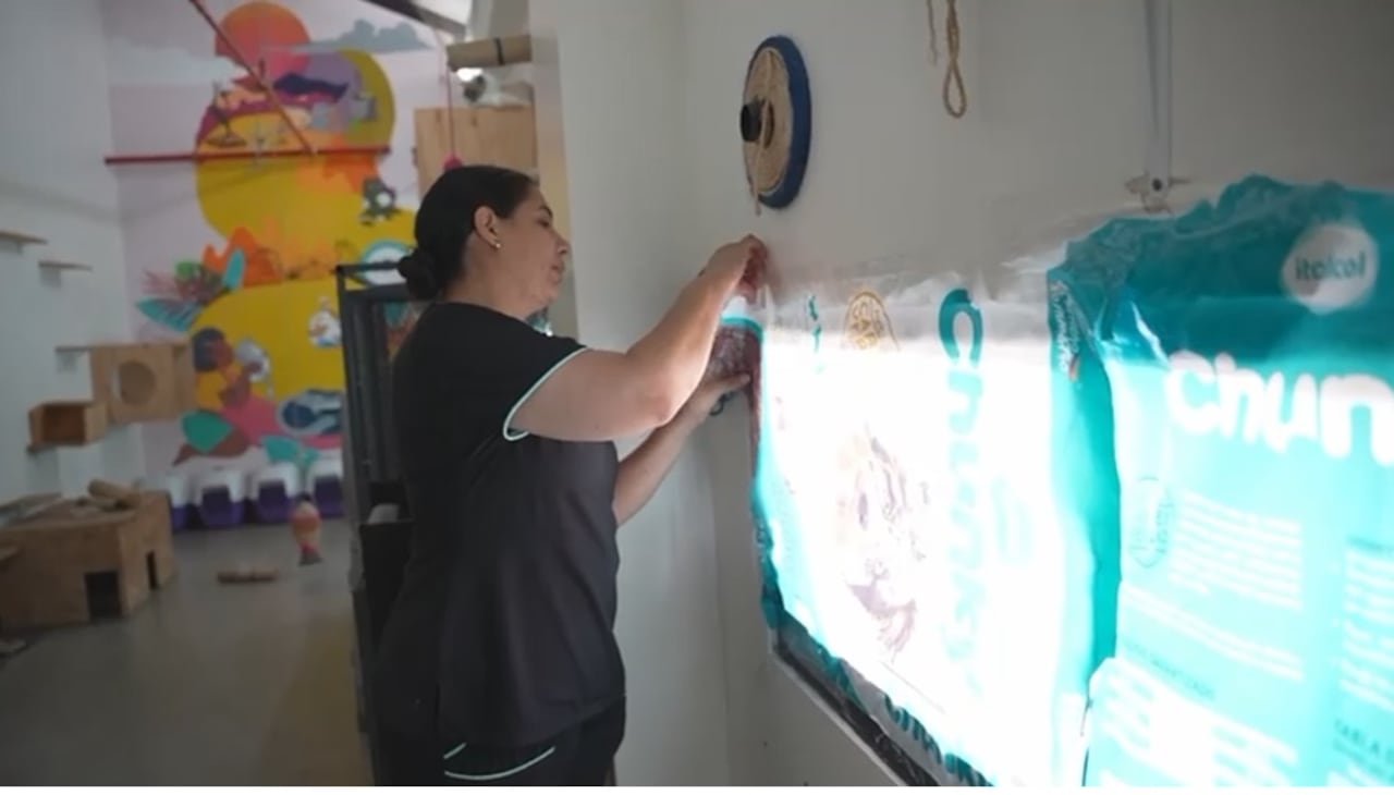 El Centro de Bienestar Animal de Cali, CBA, dio a conocer las medidas que implementa duranta este temporada navideña para proteger a los 120 animales de su albergue, del estrés y daño que genera la pólvora.