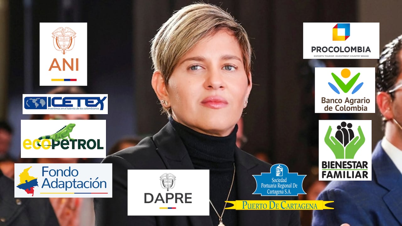Las entidades en poder de Verónica Alcocer, según Eva Ferrer.