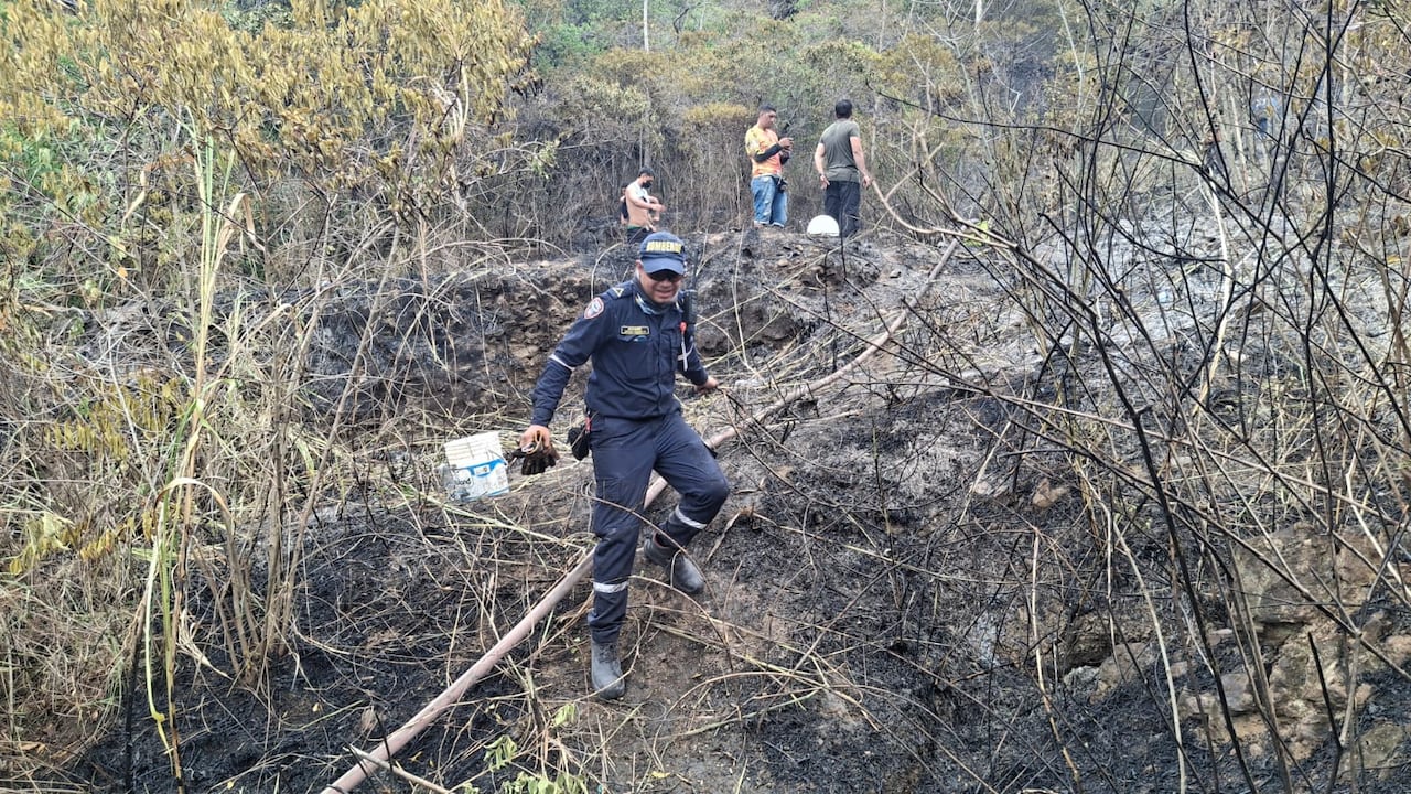 Integrantes del Club Ciclones se unieron a los cuerpos de socorro durante el incendio forestal en los Cerros de Cali.