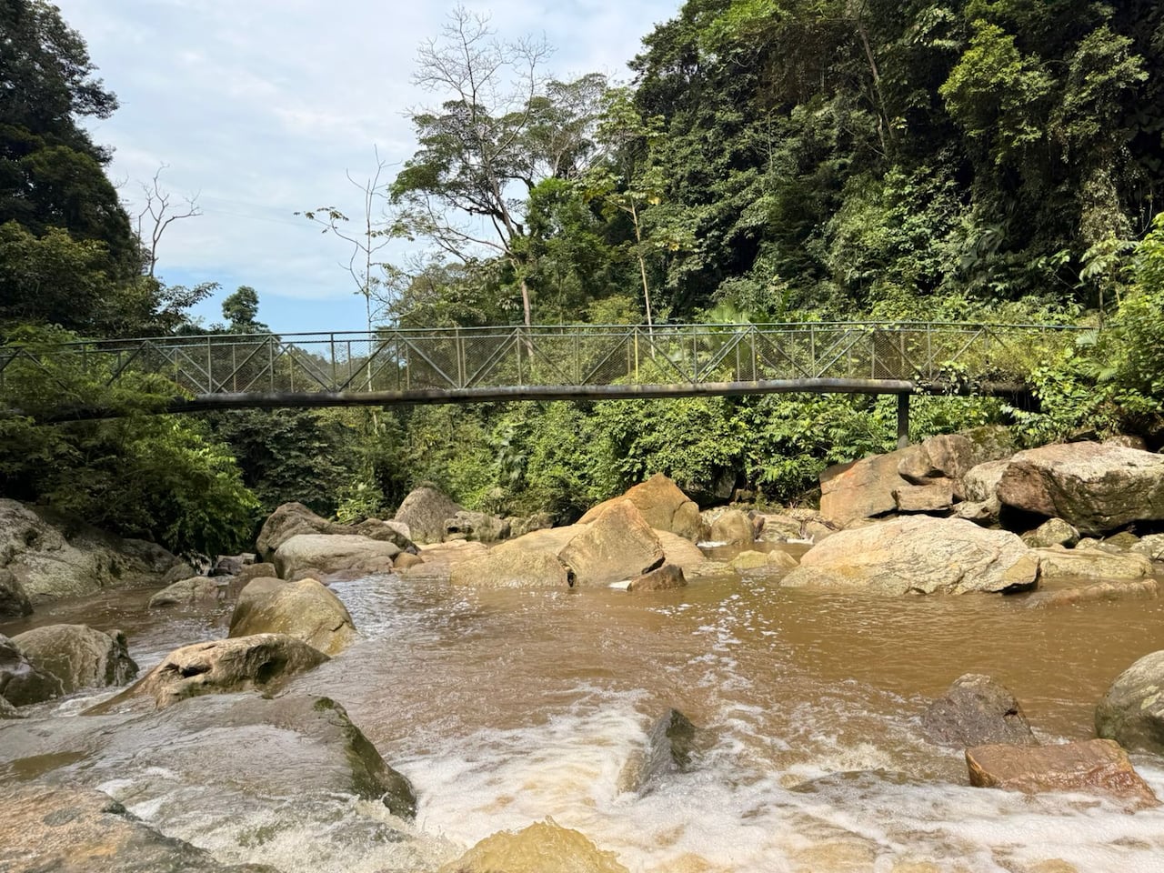 Del Catatumbo brota agua por todos lados y tiene paisajes hermosos, pero la guerra opaca la belleza.