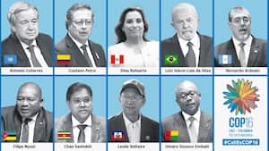 Presidentes y líderes políticos en la COP16