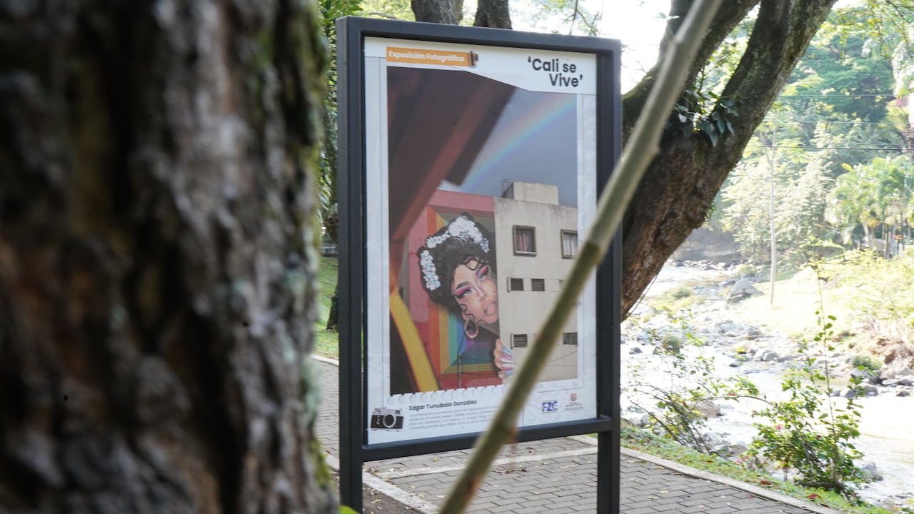 ‘Cali se mira’