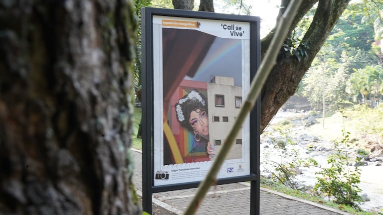 ‘Cali se mira’