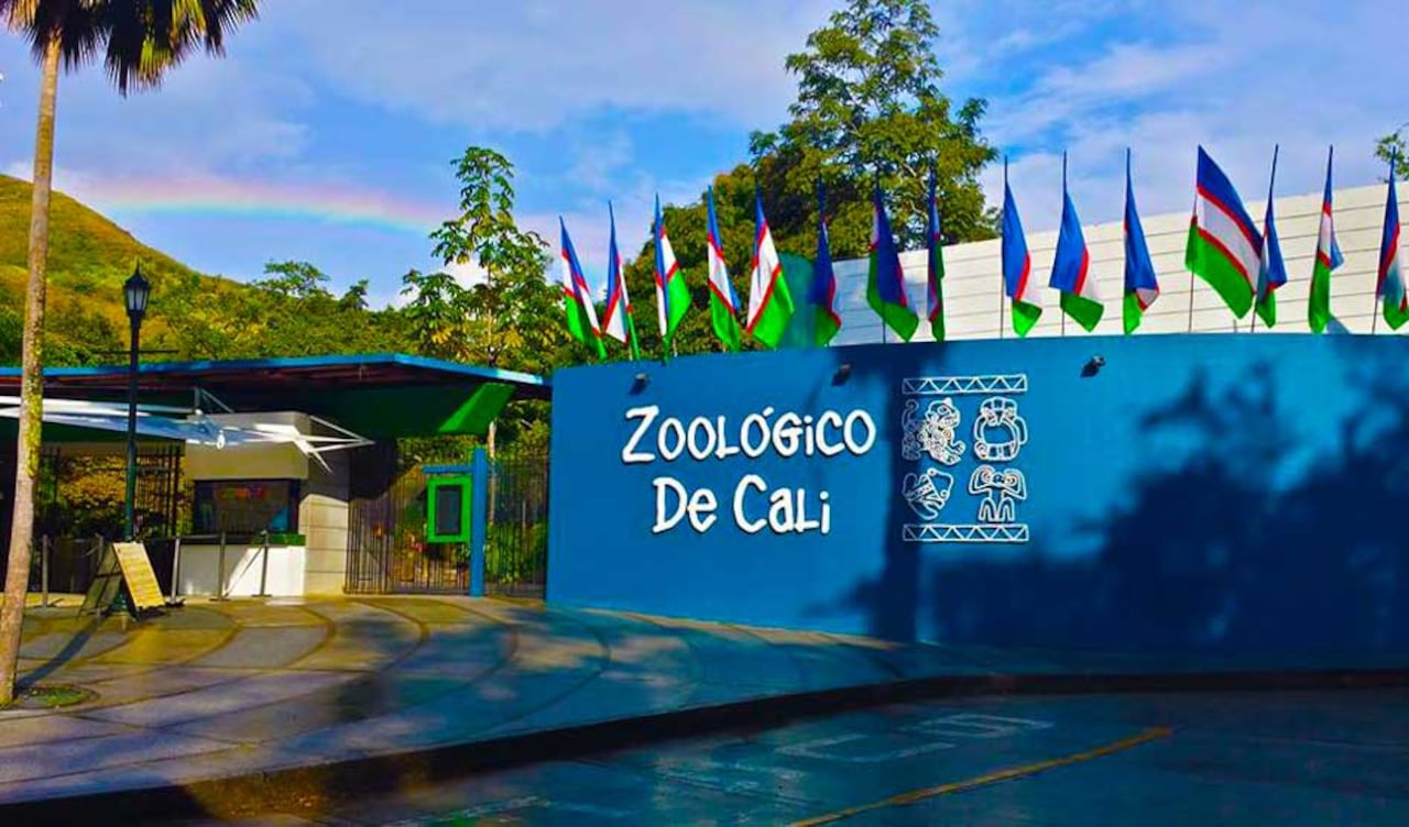 Zoológico de Cali.