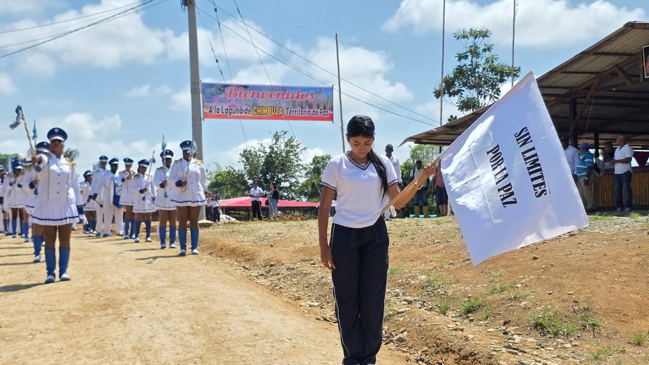 El líder de esta guerilla, Andrés Allende, aseguró que el tránsito de sus hombres hacia la paz “ha sido fácil” gracias a las acciones concretas del proceso.