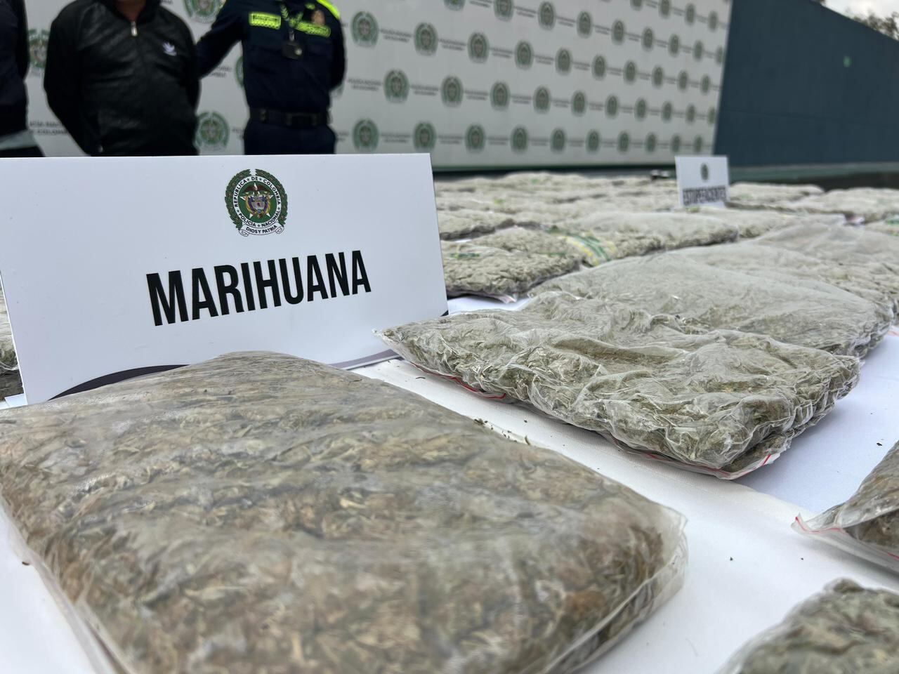 La policía metropolitana logró incautar 60 kilos de marihuana escondidos bajo tierra